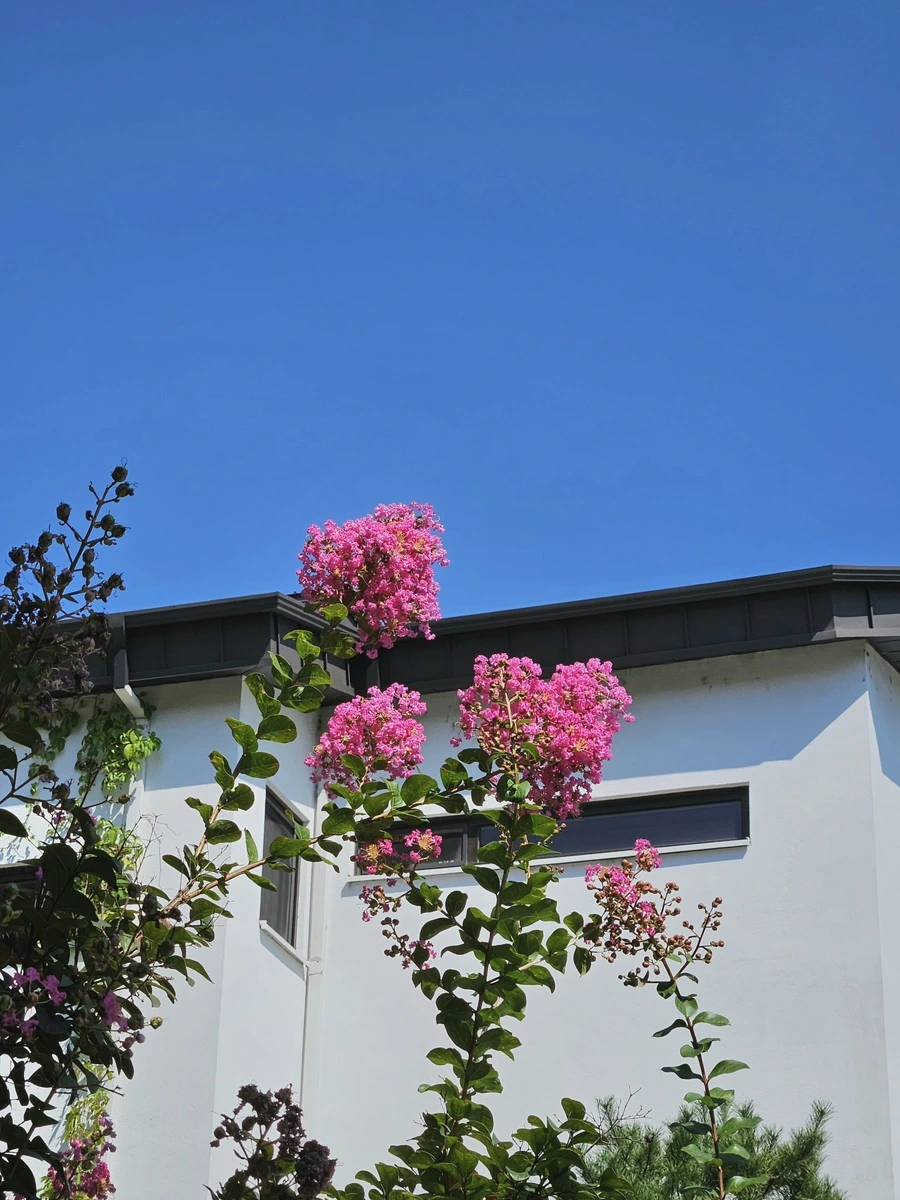 20230909_140553.jpg?type=w1