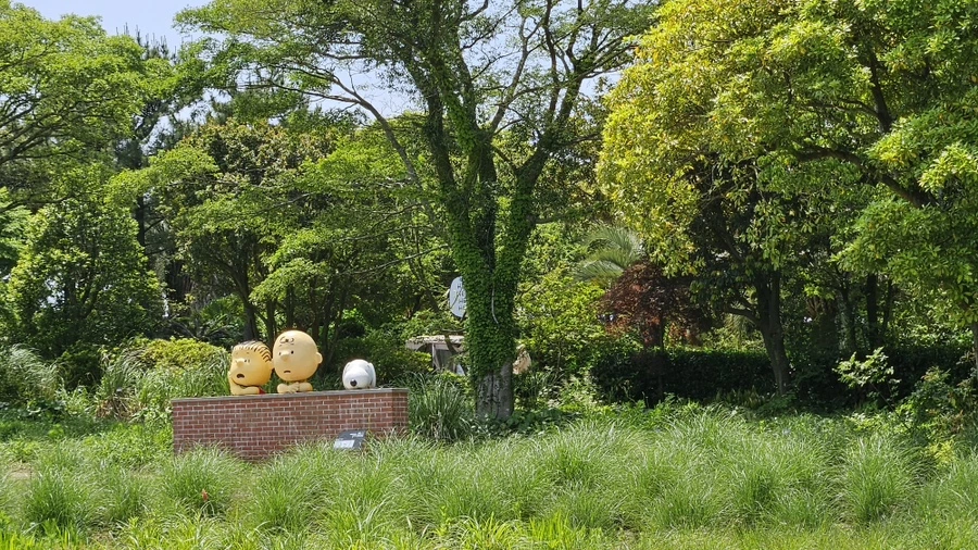 20230521_133337.jpg?type=w1