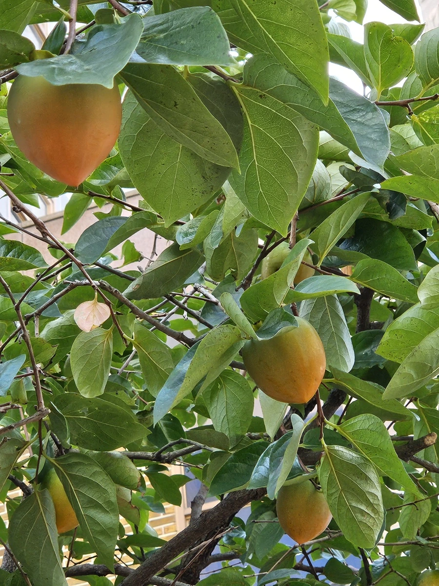 20230909_141131.jpg?type=w1