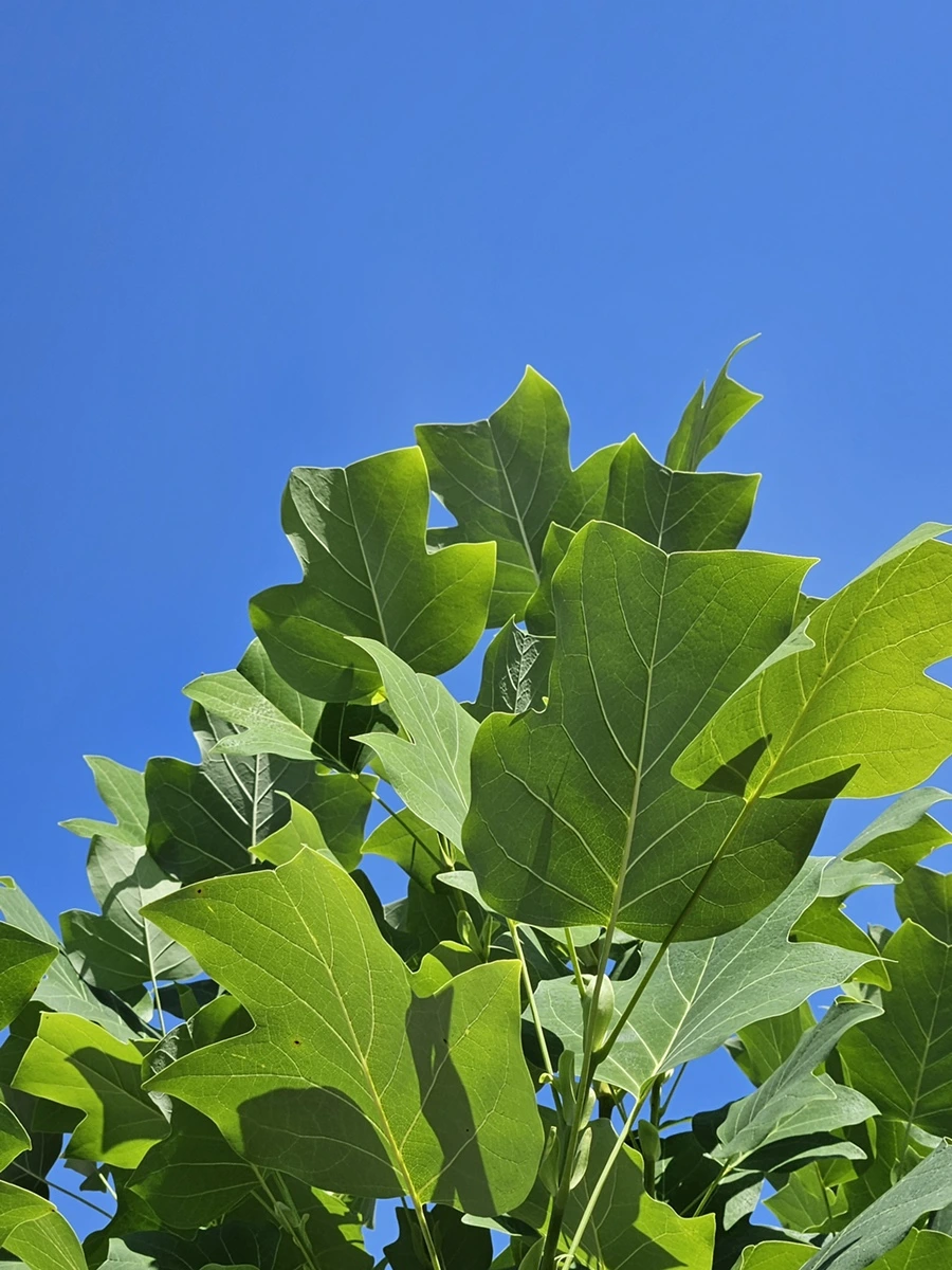 20230909_140720.jpg?type=w1