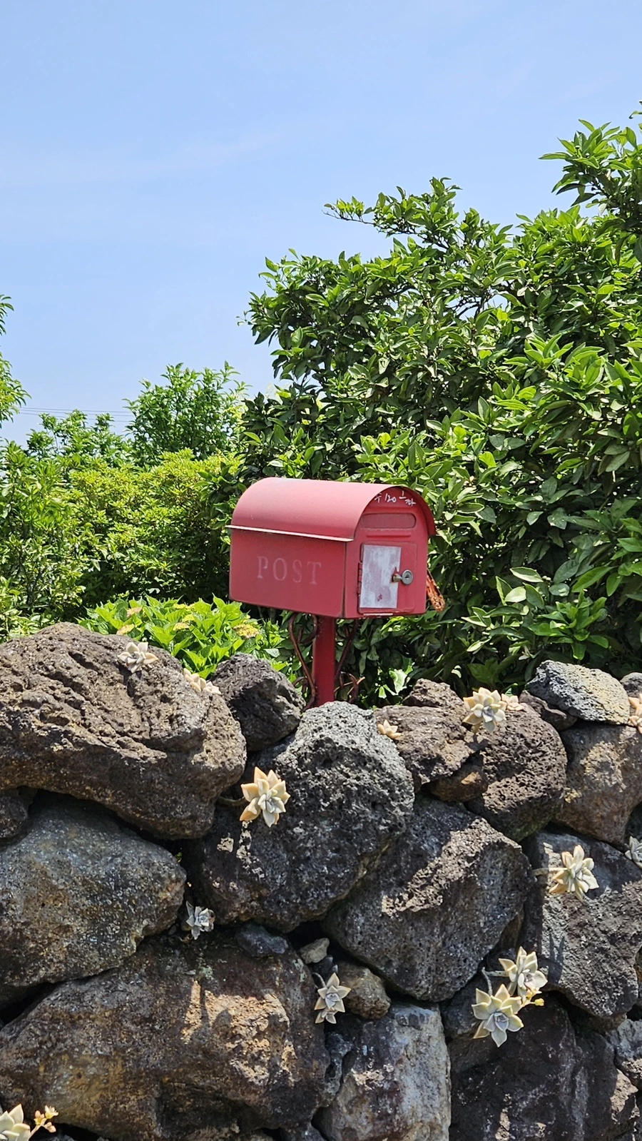 20230520_114047.jpg?type=w1