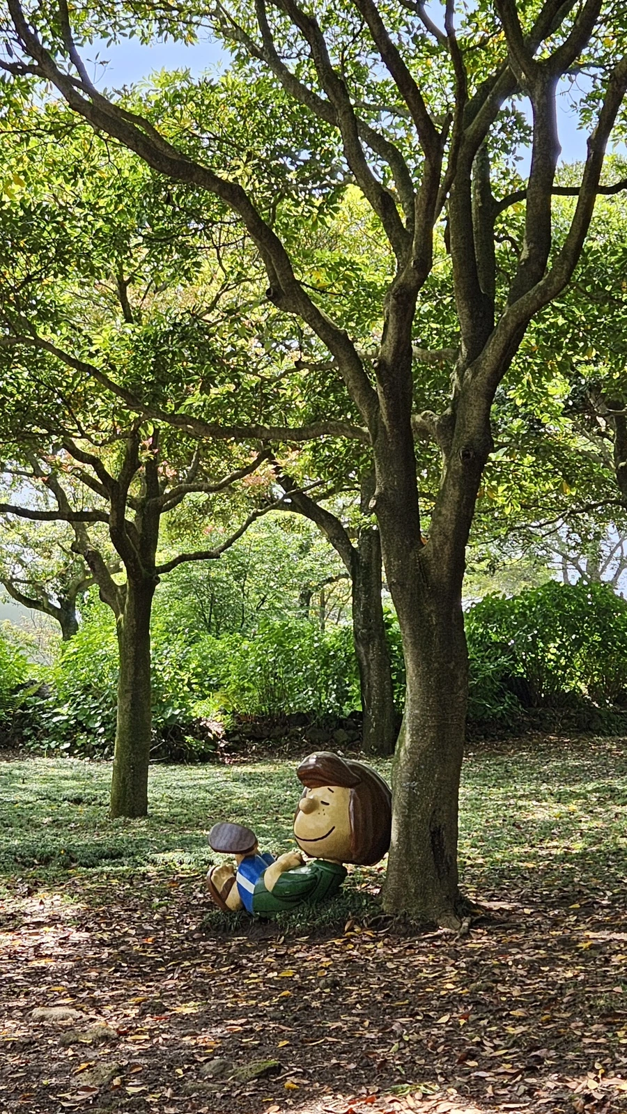 20230521_144431.jpg?type=w1