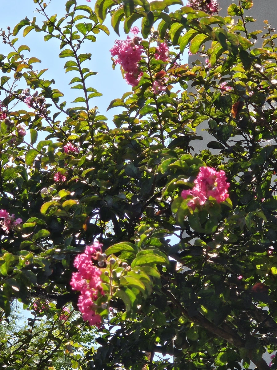 20230909_140454.jpg?type=w1