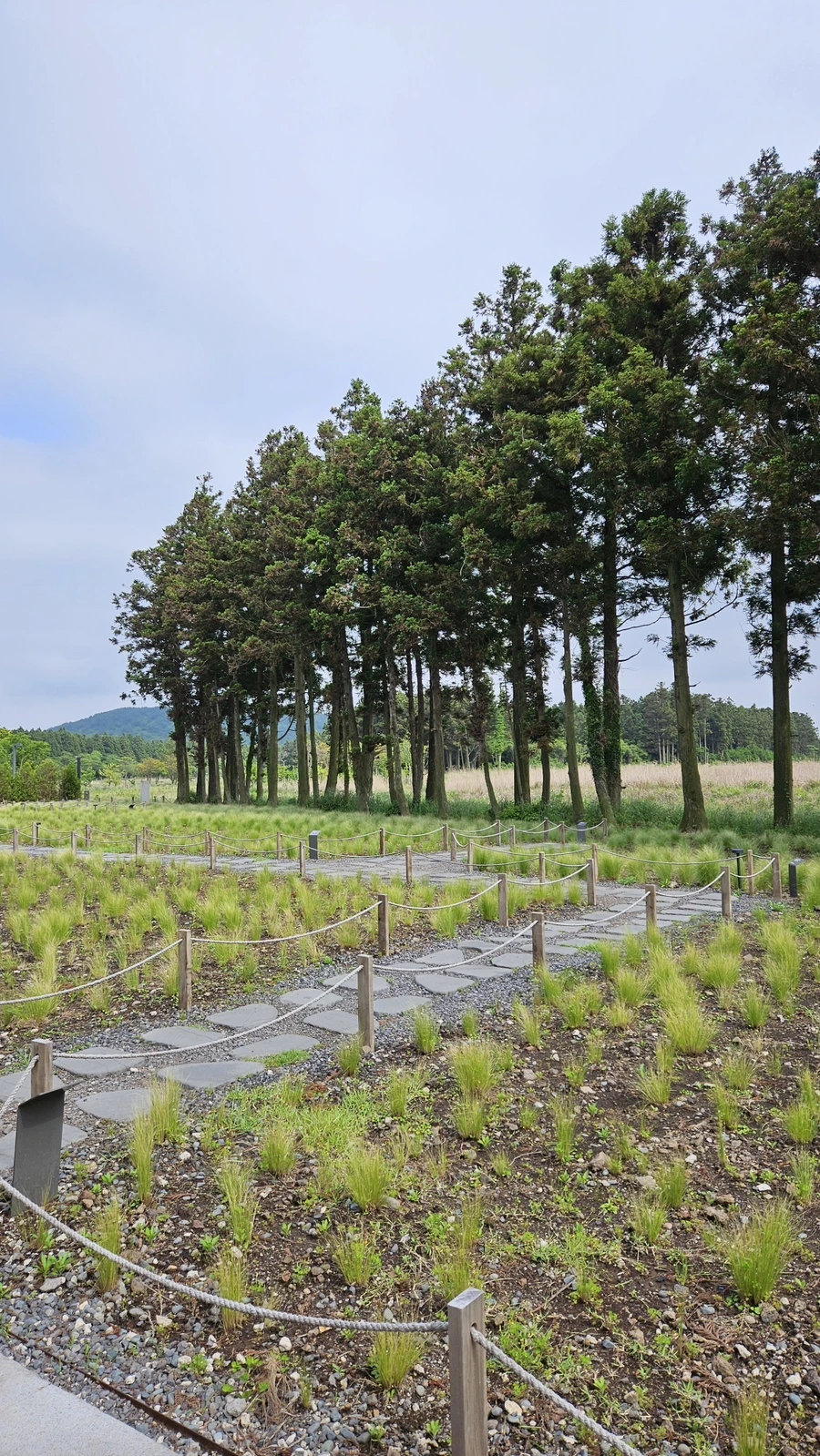 20230521_152317.jpg?type=w1