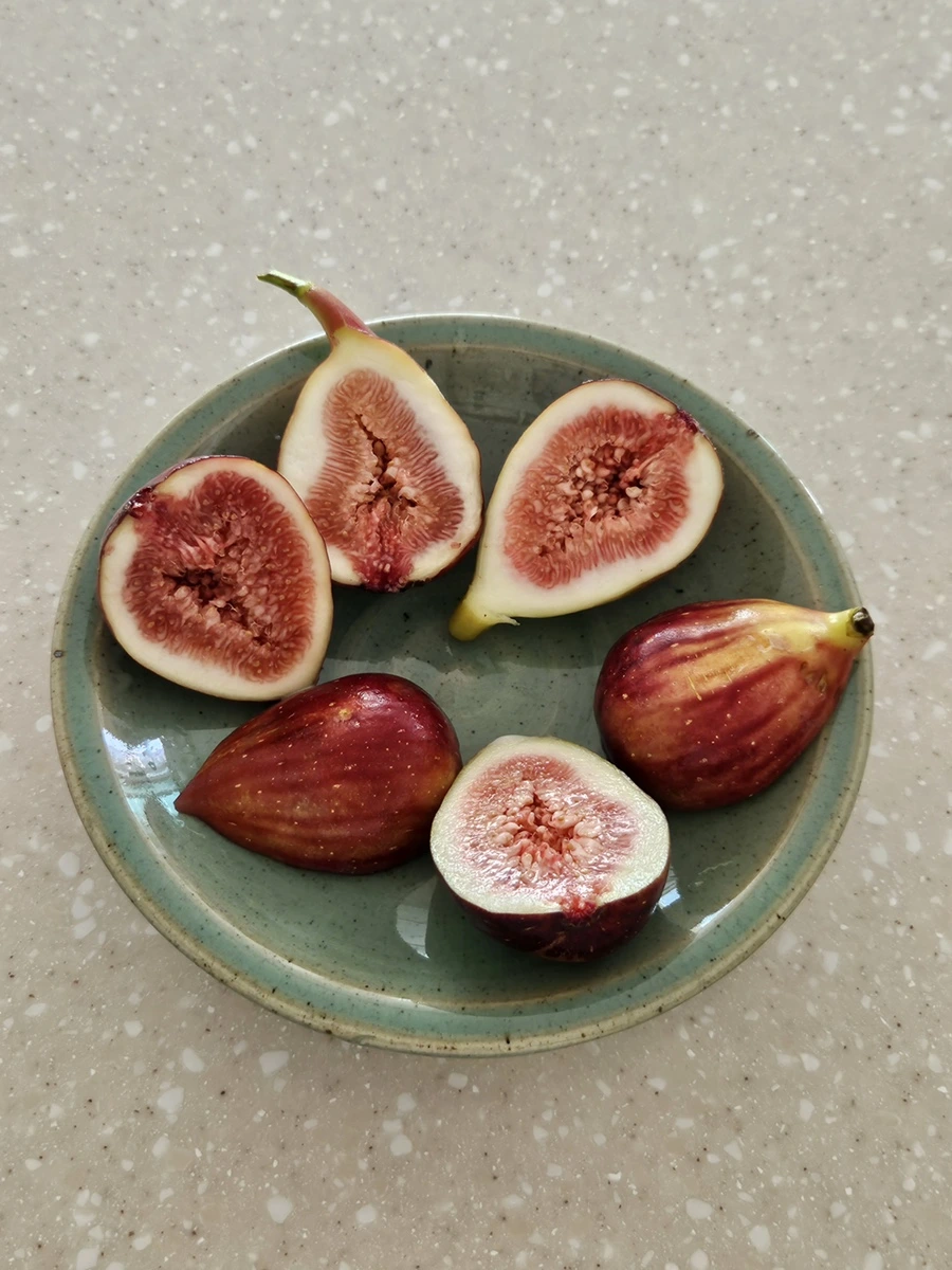 20230912_150754.jpg?type=w1