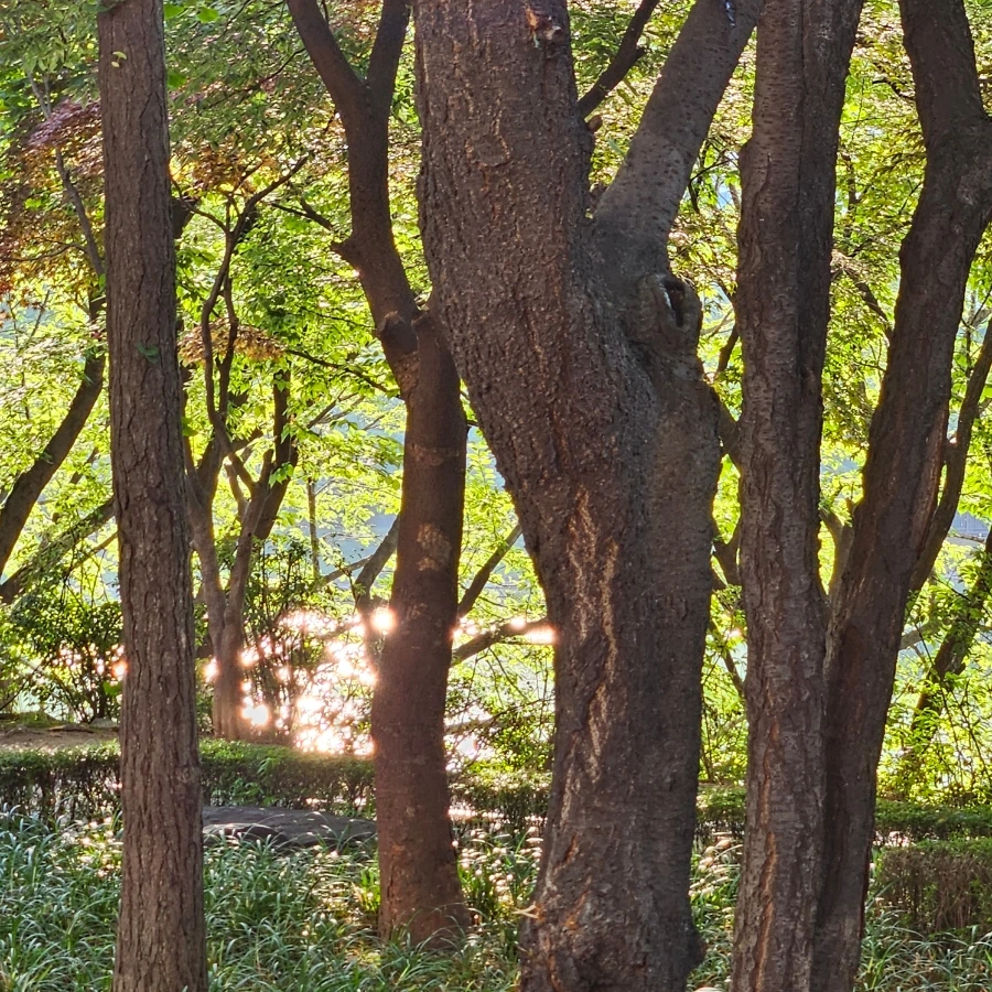 20230616%EF%BC%BF181324.jpg?type=w1