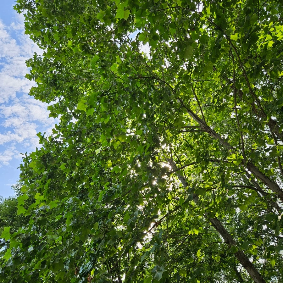 20230706%EF%BC%BF084014.jpg?type=w1