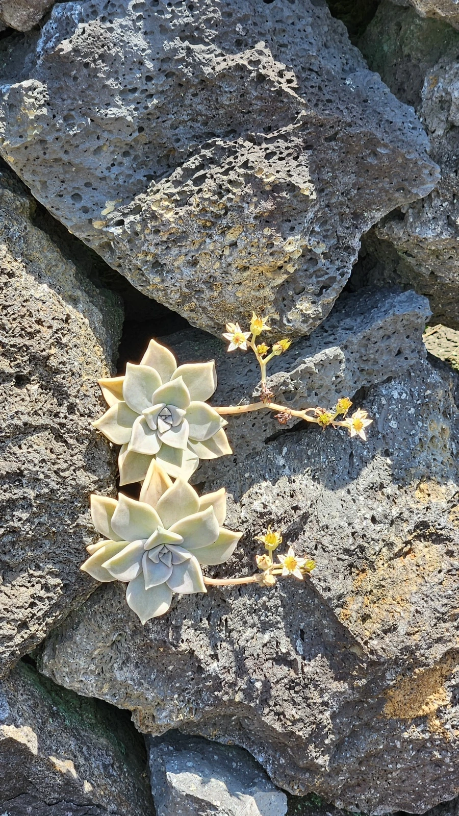 20230520_113920.jpg?type=w1