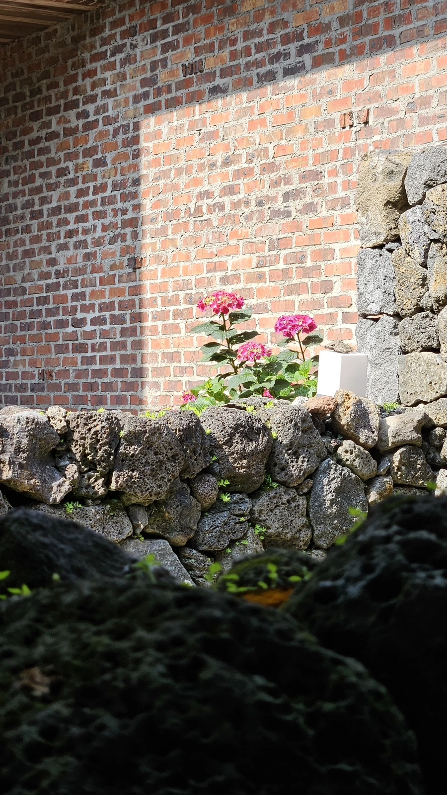 20230520_152910.jpg?type=w1