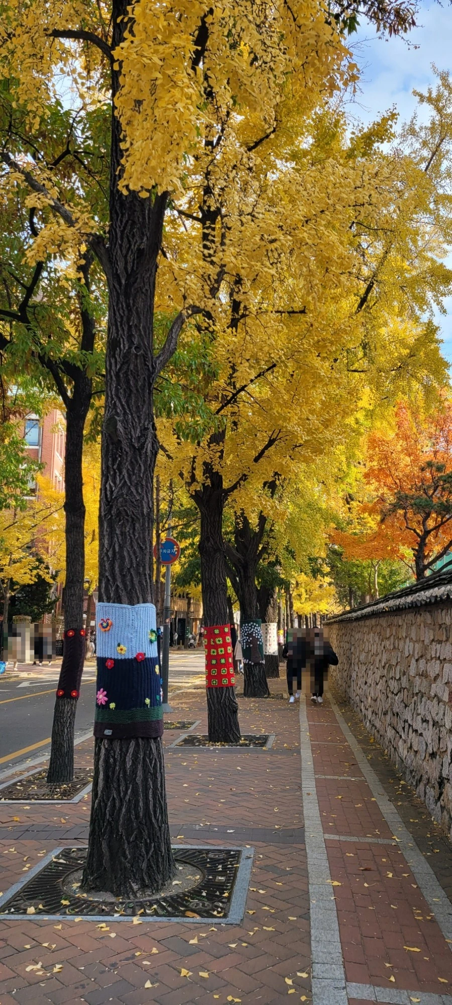 SE-83b3c16b-60eb-11ed-96af-479a84ba4427.jpg?type=w1