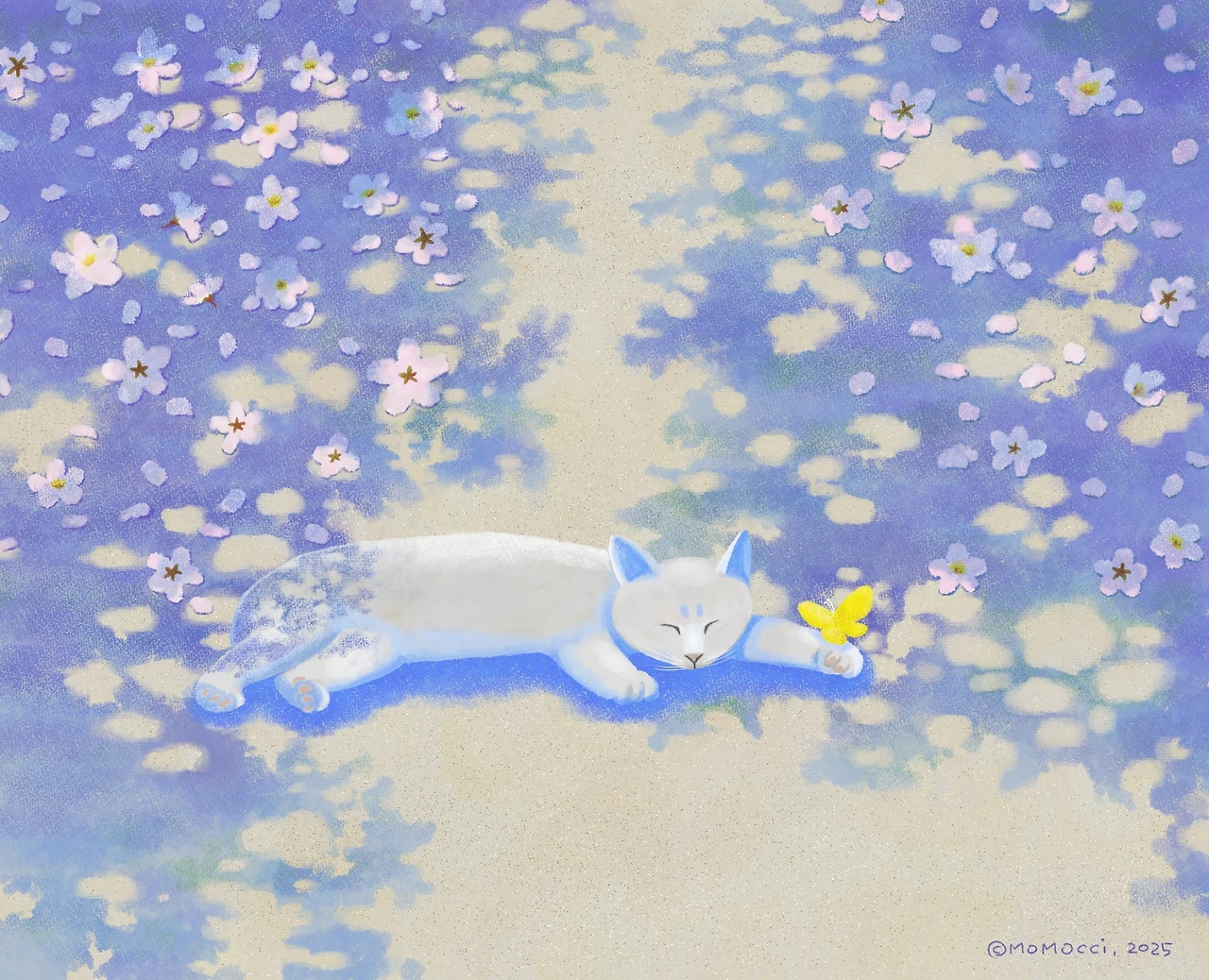 나비와 나비.jpeg