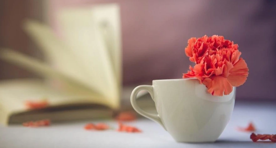 g954f144a4e96e3a028cca686342f9a3edb851437482aad00d16eb33af10ddd0709de4083d65.jpg?type=w1