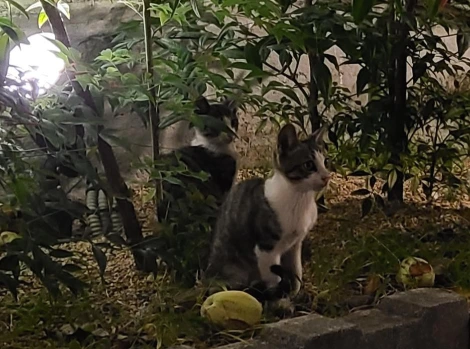 20200925_185619.jpg?type=w1