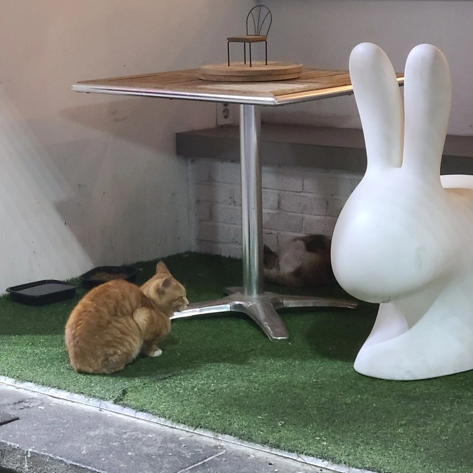 20200923_190902.jpg?type=w1