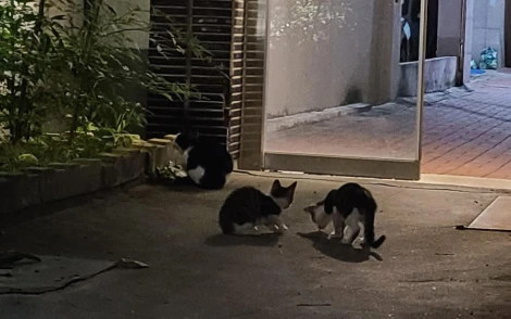 20200925_185555.jpg?type=w1