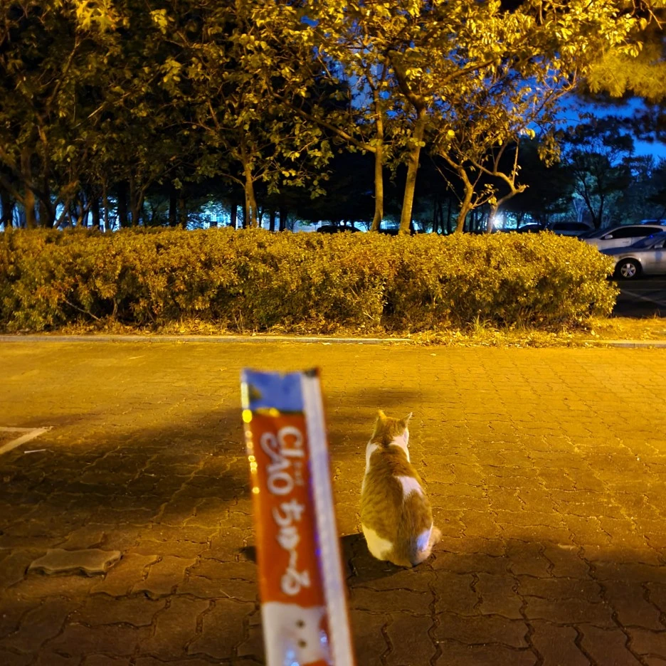 20201011_204537.jpg?type=w1