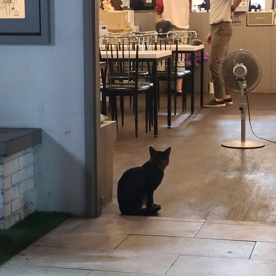 20200923_190855.jpg?type=w1