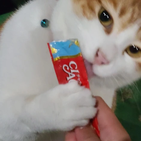 20201011_202125.jpg?type=w1