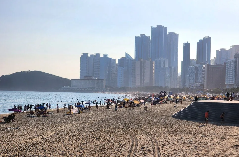 SE-316351fa-be90-4404-b673-4f9cdd460506.jpg?type=w966