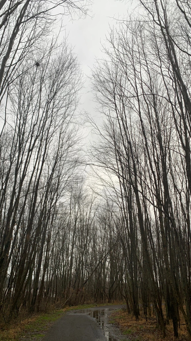 71C90941-9CC8-4CB3-8BCA-54418726DF87_1_105_c.jpeg?type=w1