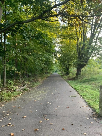 SE-aaccc30b-7d87-422e-874c-f48430ab7d10.jpg?type=w1