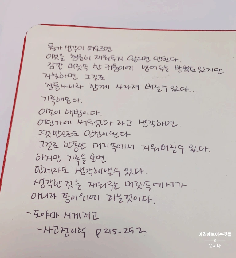 SE-949a4857-f7fb-4146-a97f-5b4ebbebc550.jpg?type=w1