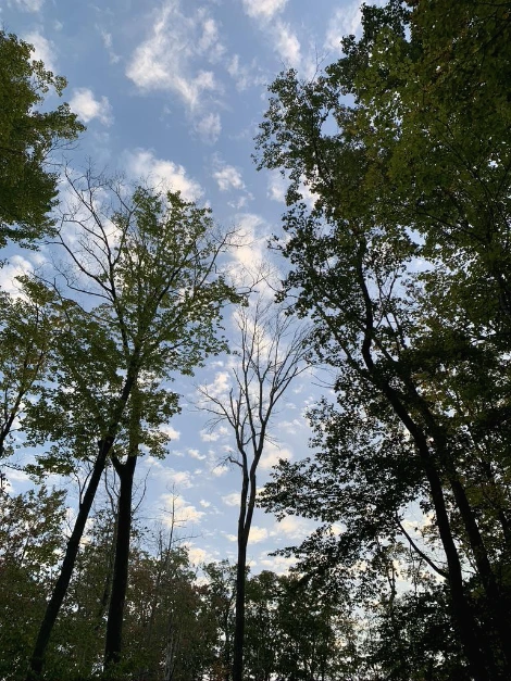 D6D61017-7EC6-45F6-BE8E-B74A66543A06_1_105_c.jpeg?type=w1