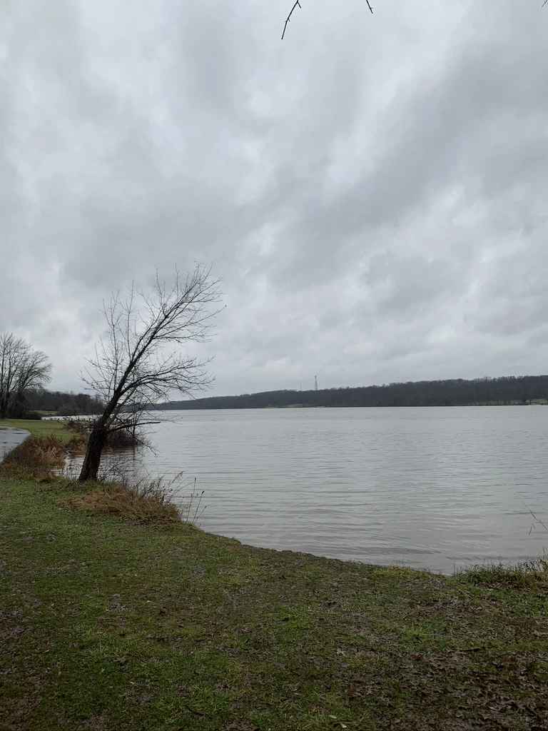 A3879812-F569-407F-BB61-928F02402857_1_105_c.jpeg?type=w1