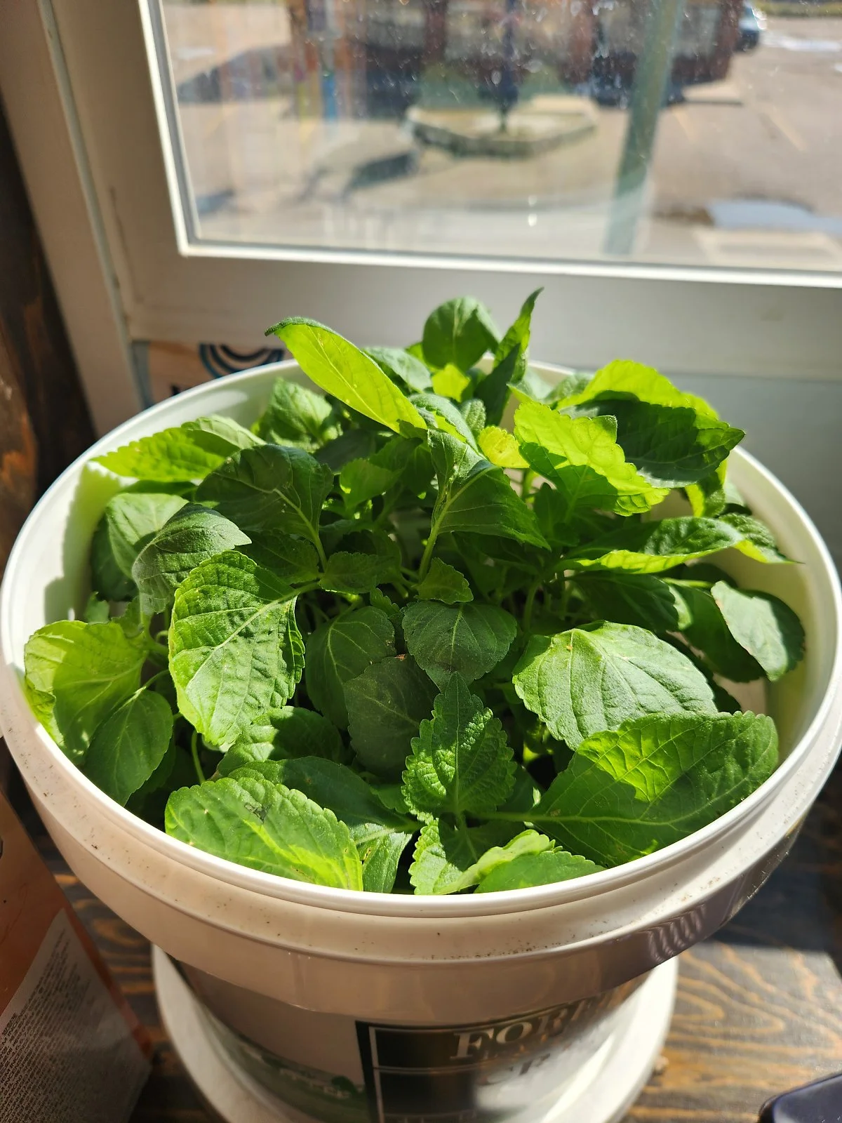 KakaoTalk_20230920_110849833_12.jpg?type=w1200