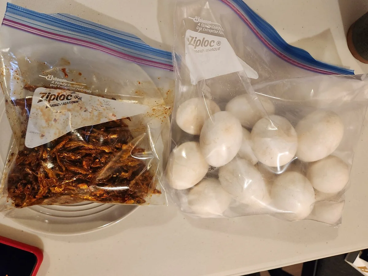 image_9267691341697653703686.jpg?type=w1200