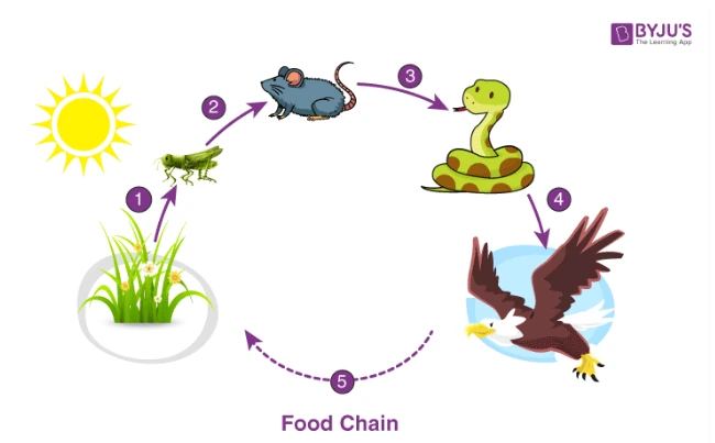 image.png?type=w1200