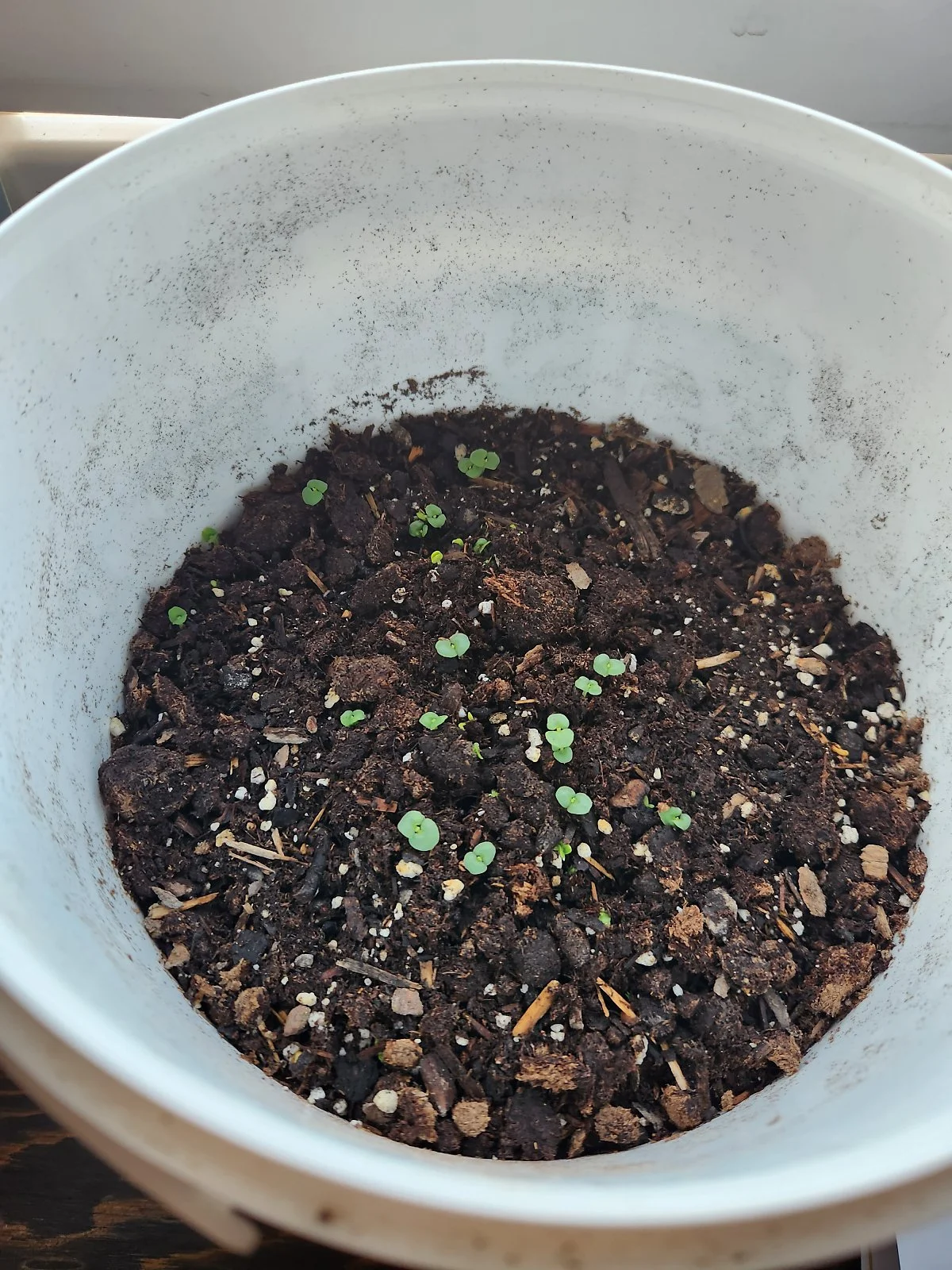 KakaoTalk_20230920_110849833_08.jpg?type=w1200