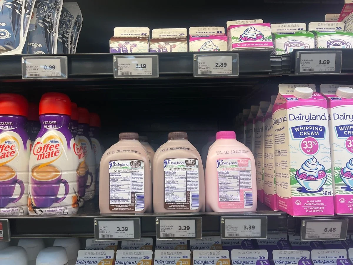 KakaoTalk_20231010_103915016_02.jpg?type=w1200