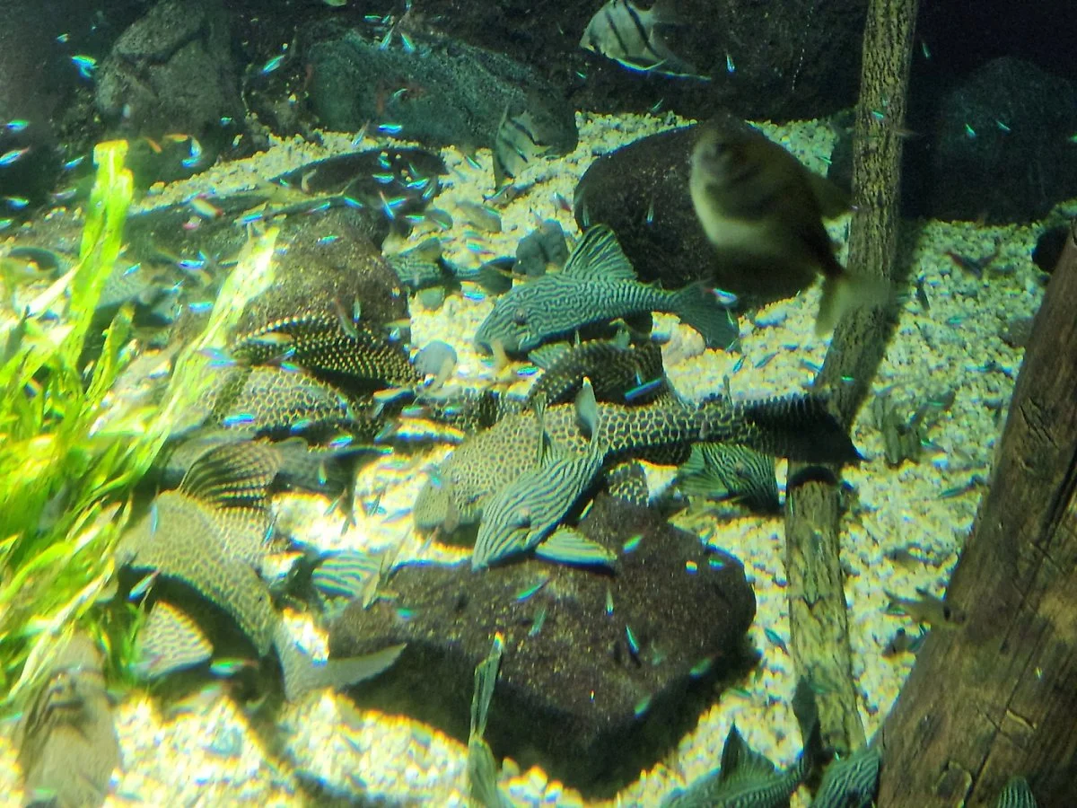 KakaoTalk_20230308_152324709_08.jpg?type=w1200