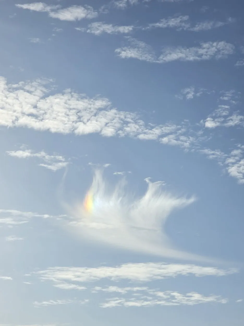 KakaoTalk_20250414_103742545_05.jpg?type=w1