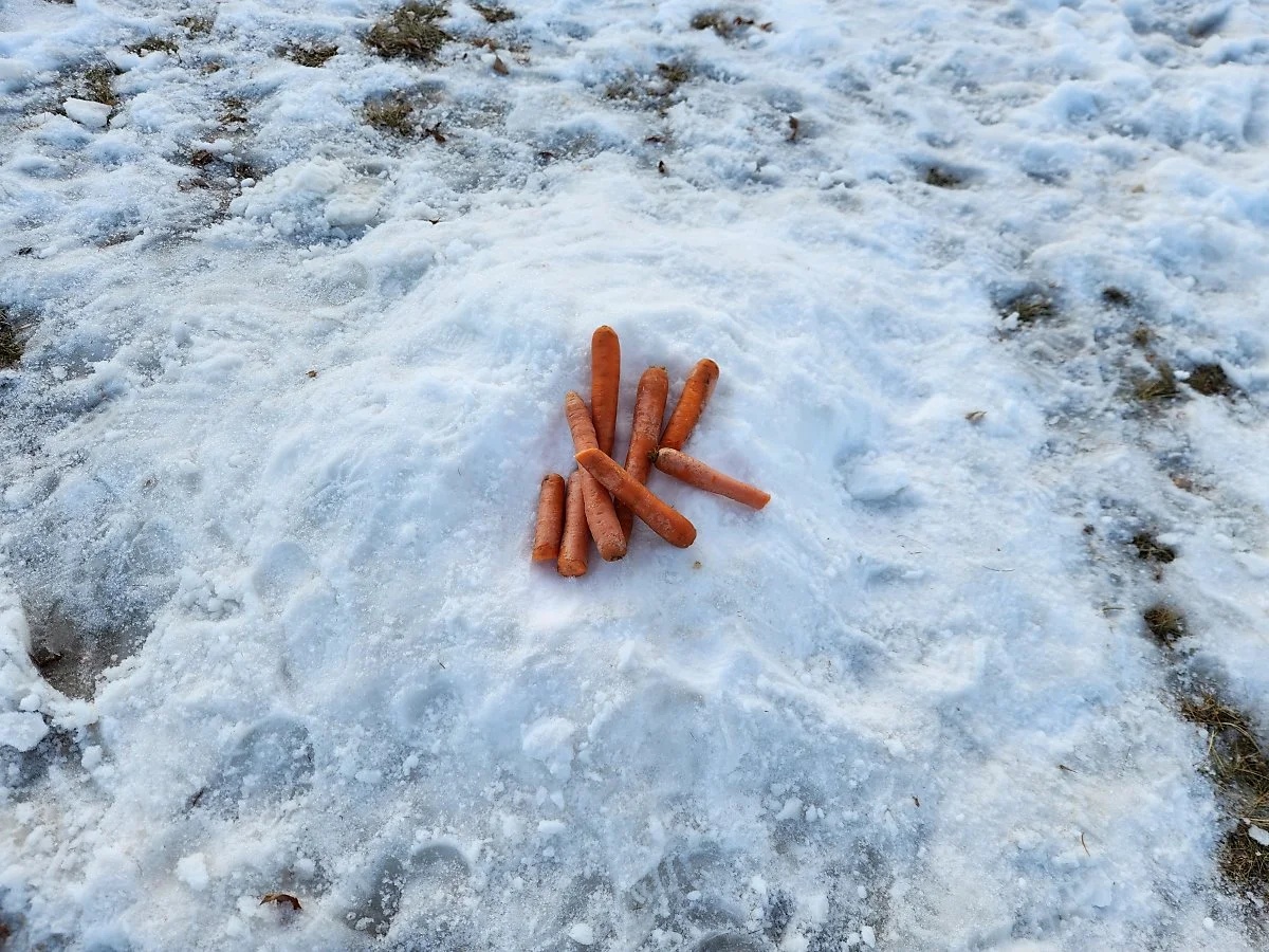 KakaoTalk_20240129_194816833.jpg?type=w1200