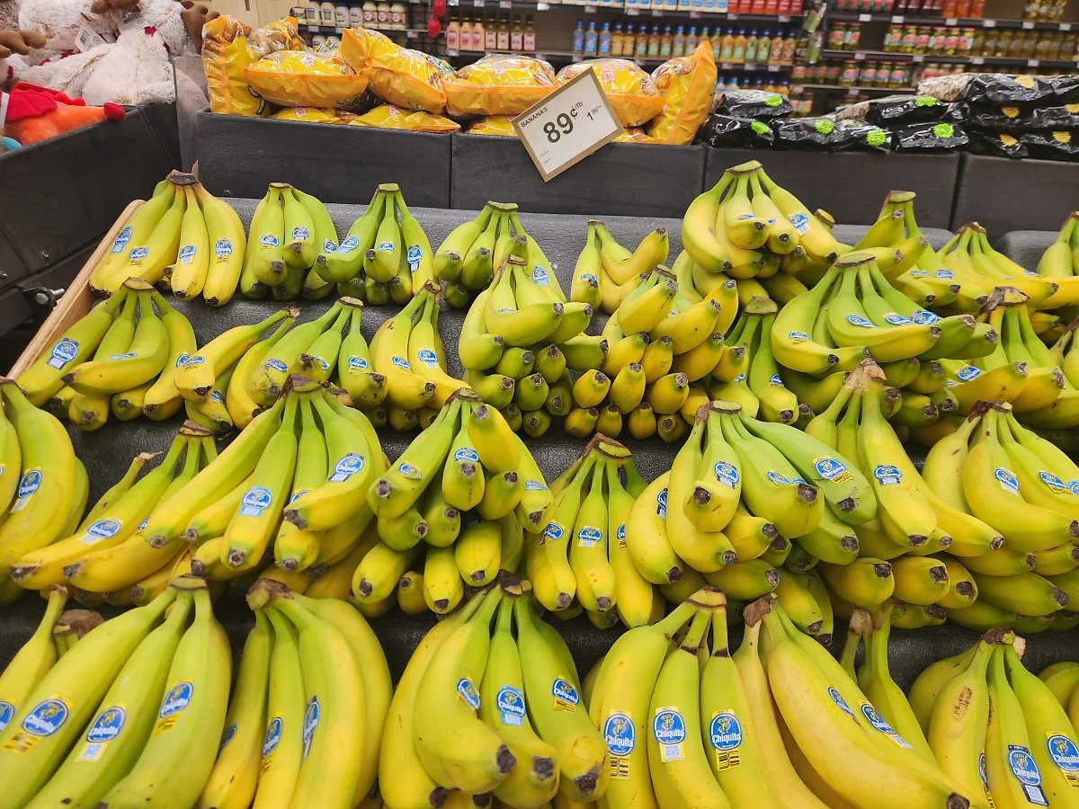 KakaoTalk_20230724_090110302_29.jpg?type=w1200