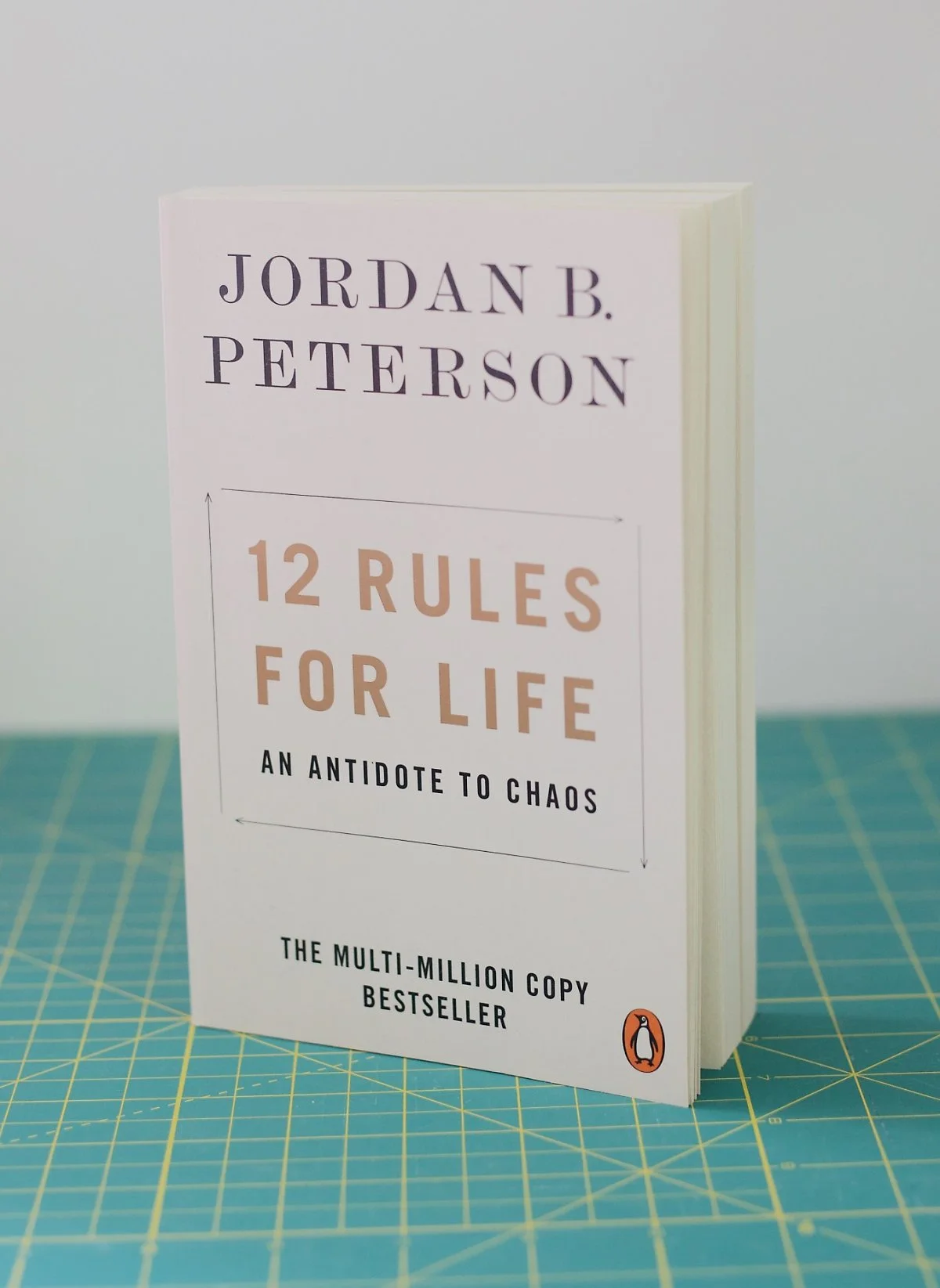 image_5495580101703358181730.jpg?type=w1200