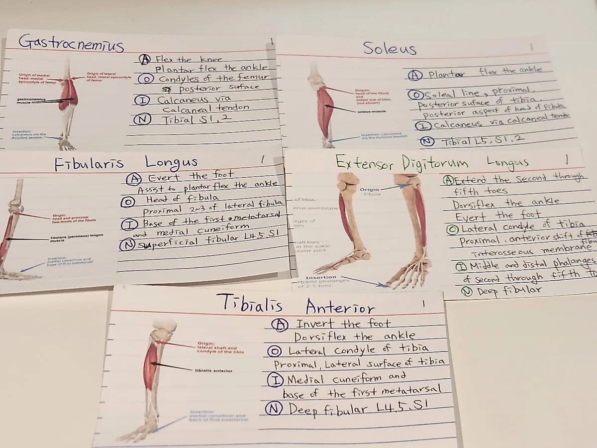 KakaoTalk_20241031_100125731.jpg?type=w1200