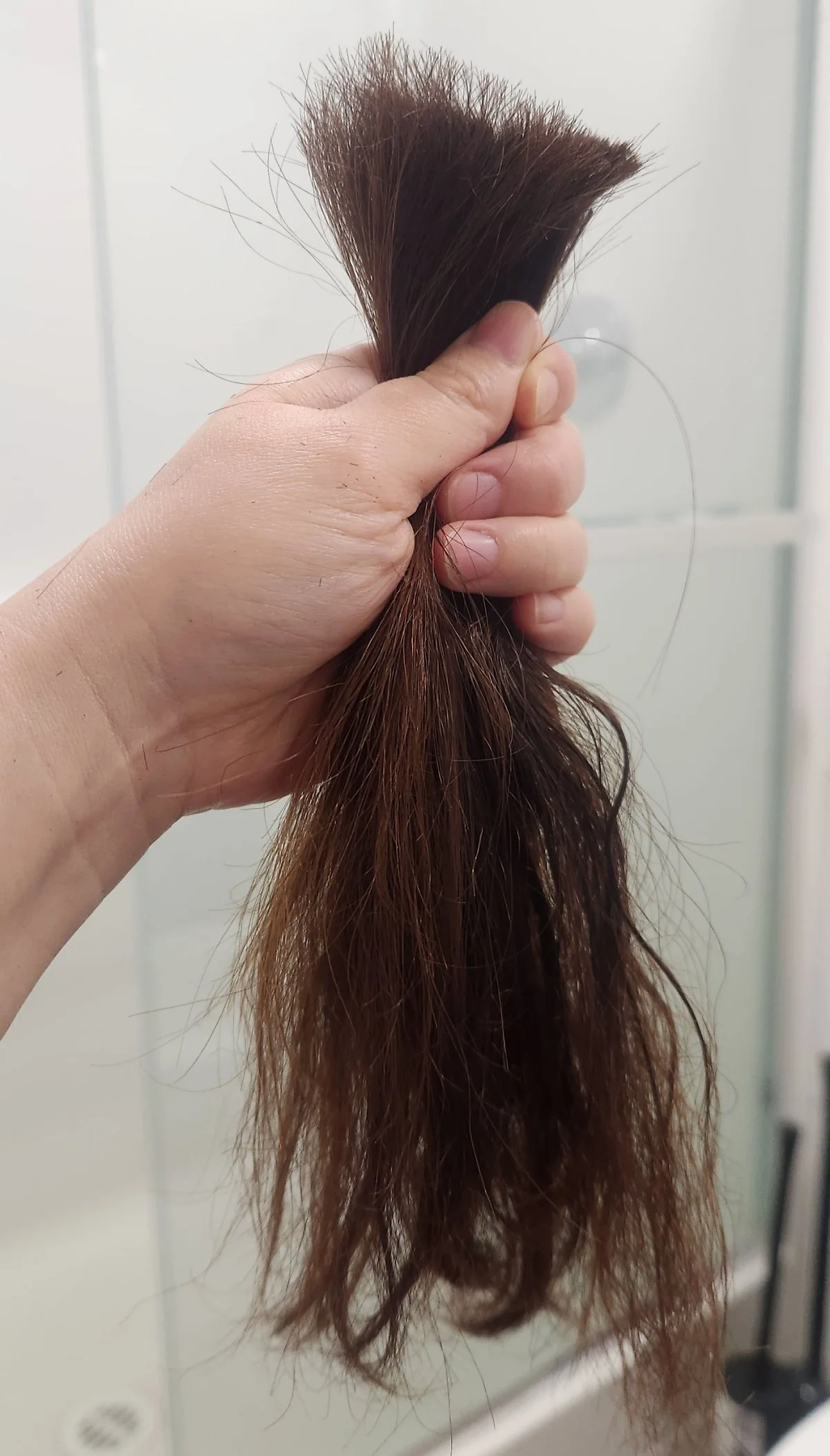 image_548168371734568963776.jpg?type=w1200