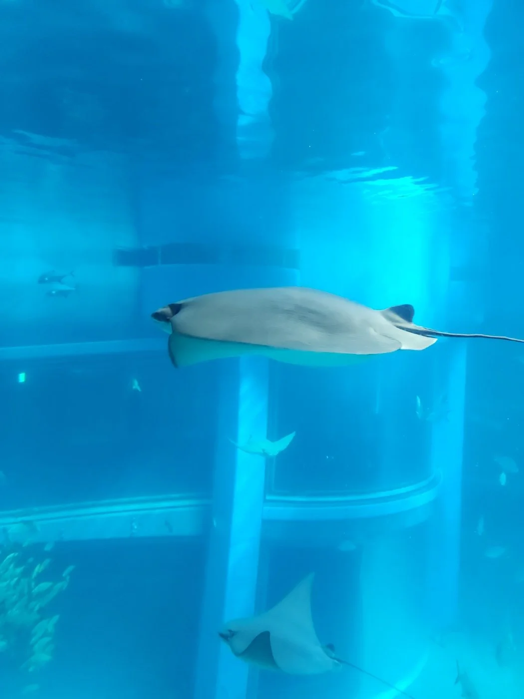 KakaoTalk_20230308_152324709_09.jpg?type=w1200