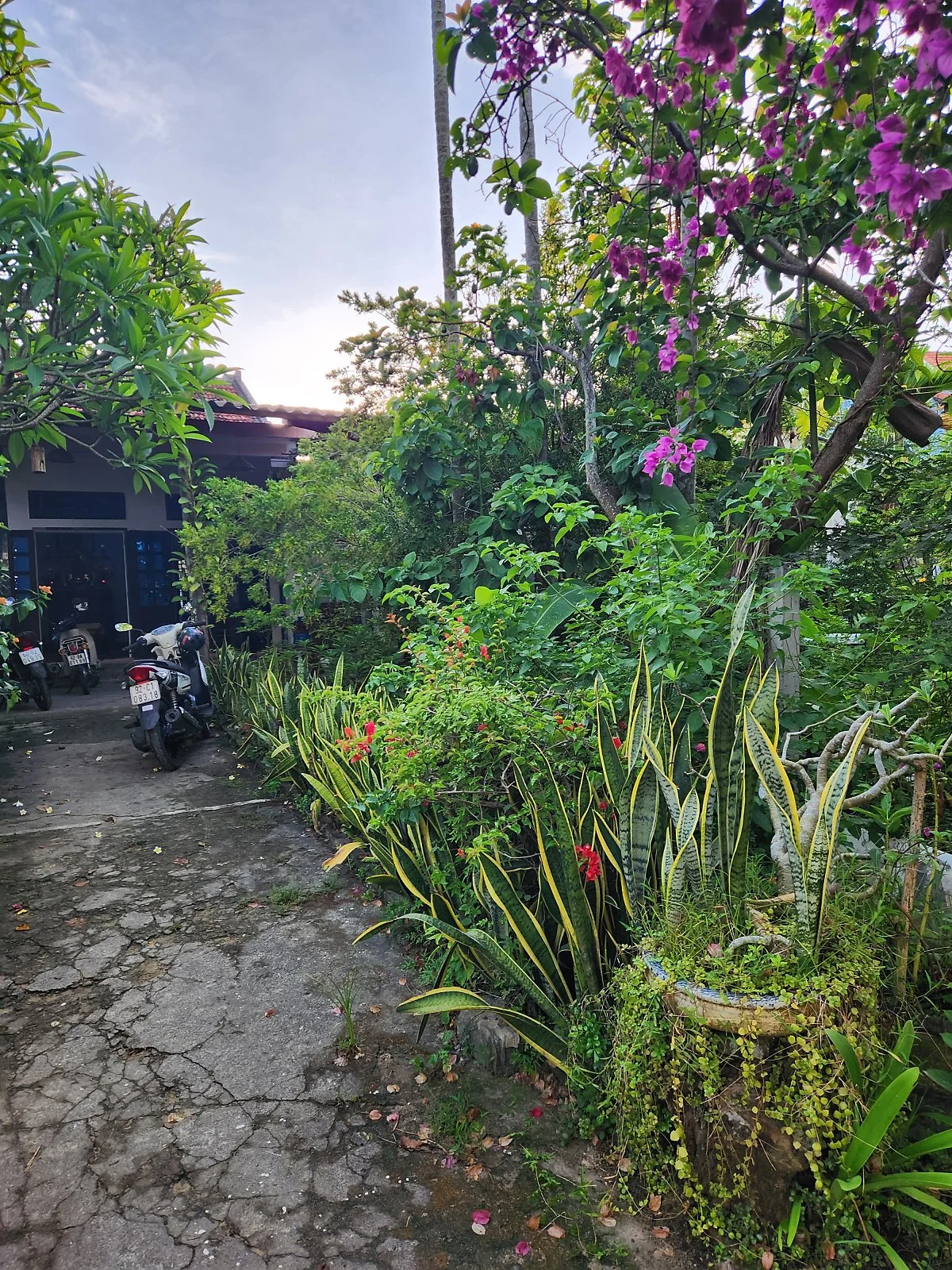 KakaoTalk_20230624_154848598.jpg?type=w1200