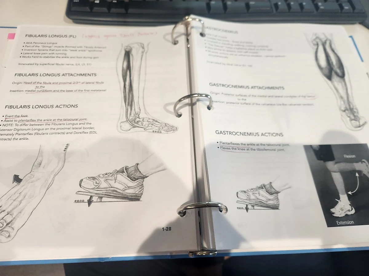 KakaoTalk_20241206_112623407.jpg?type=w1200