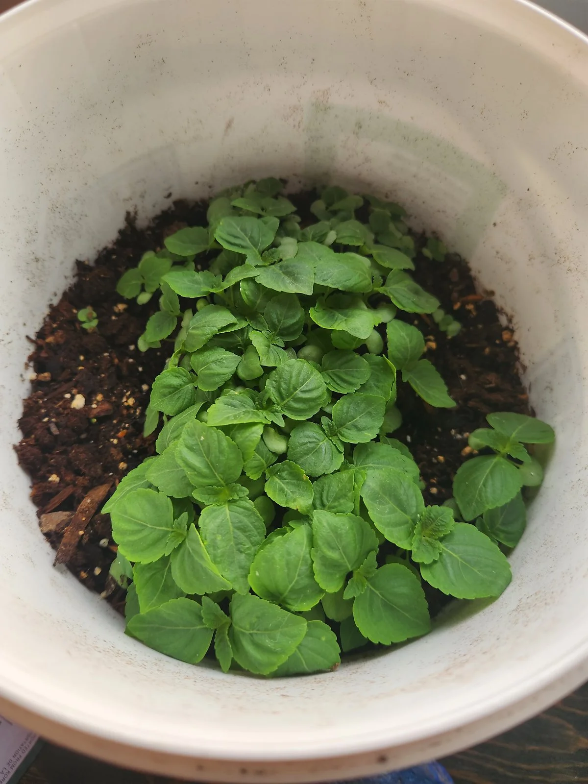 KakaoTalk_20230920_110849833_07.jpg?type=w1200