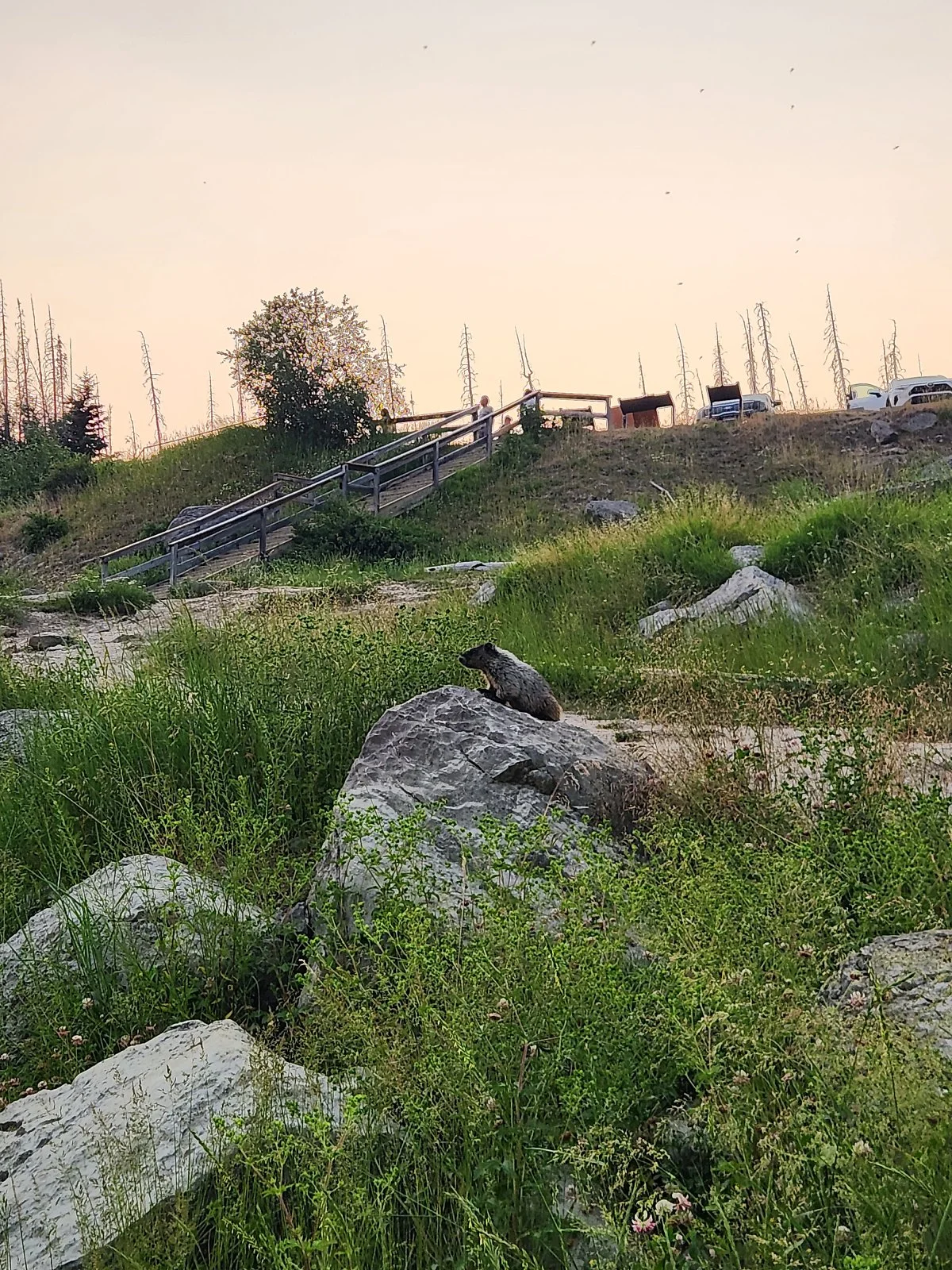 KakaoTalk_20240724_103559756.jpg?type=w1200