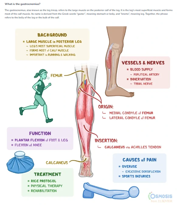 image.png?type=w1200