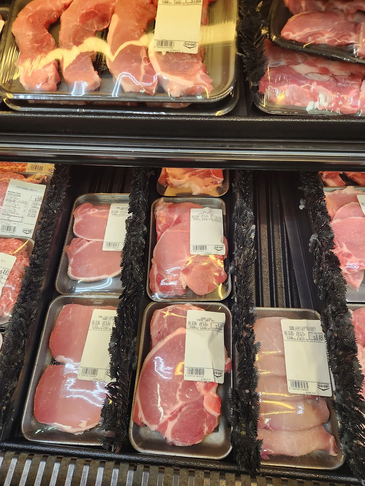 KakaoTalk_20230724_091324554_01.jpg?type=w1200