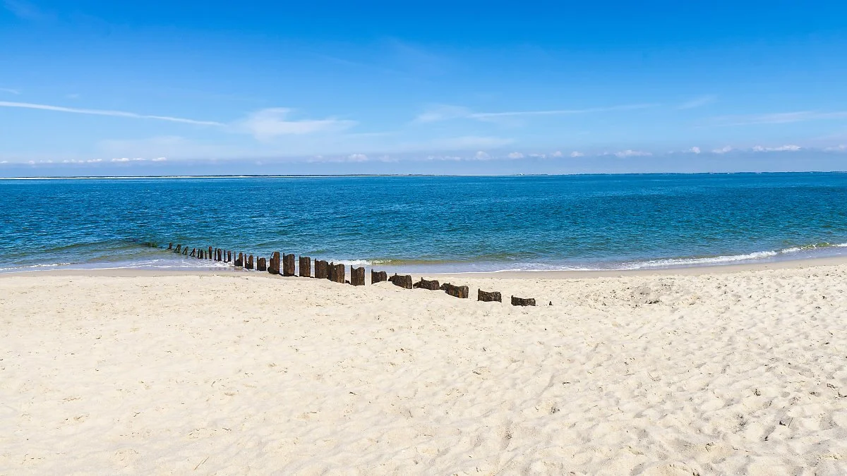 hilthart-pedersen-NDGgr9HcjuA-unsplash.jpg?type=w1200