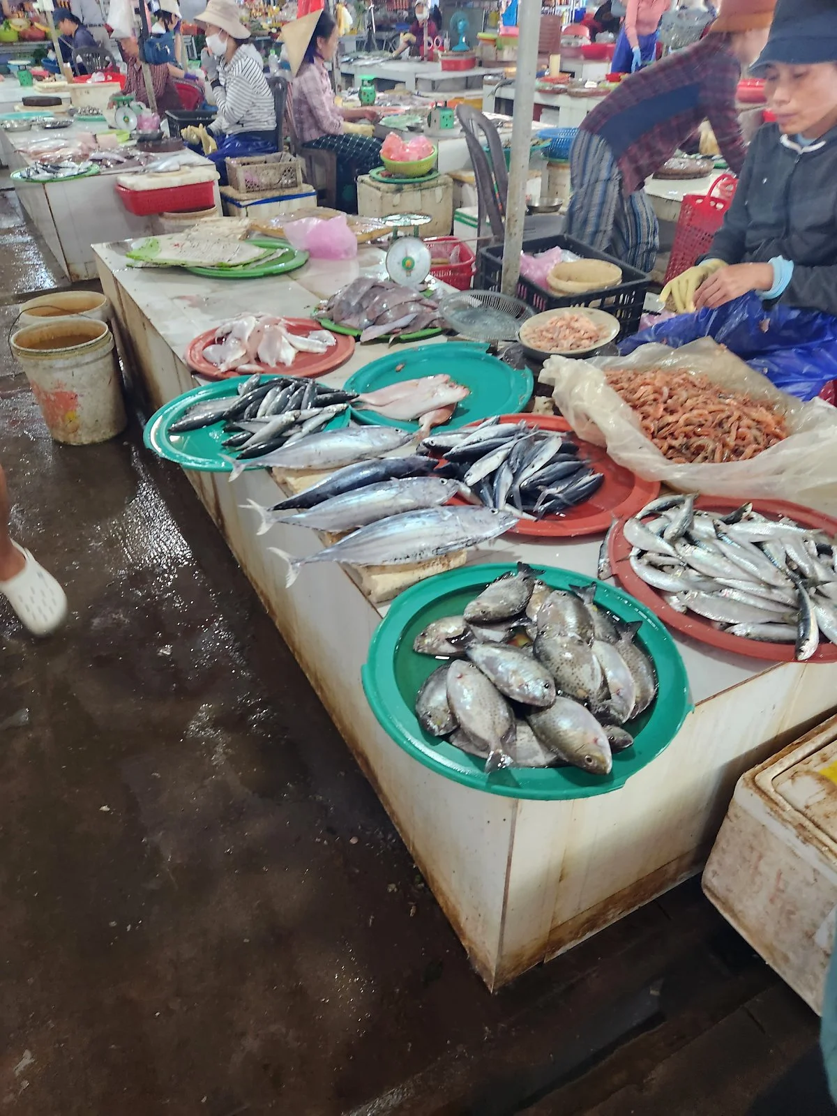 KakaoTalk_20230624_155117050.jpg?type=w1200