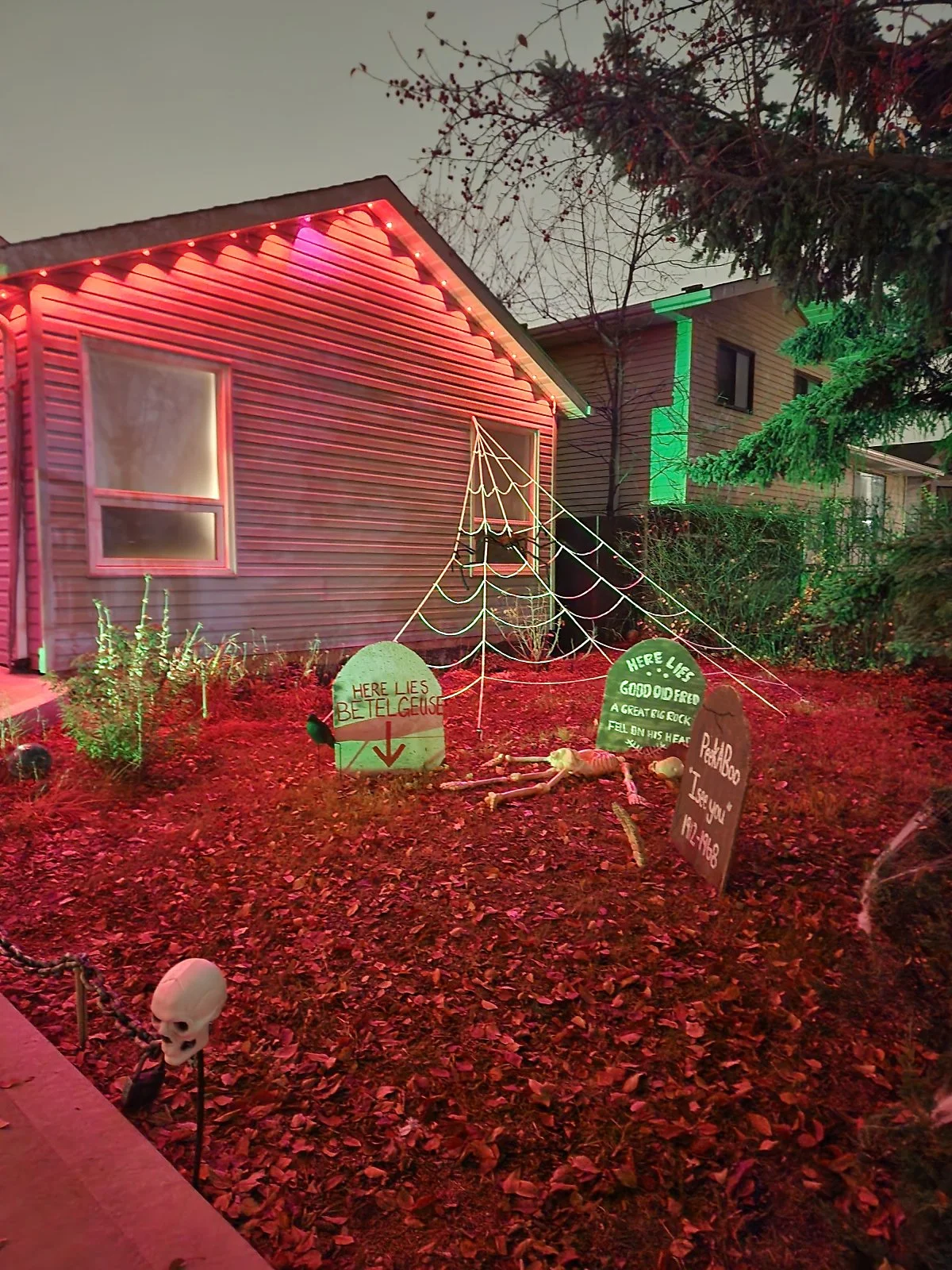 KakaoTalk_20241101_202316097_10.jpg?type=w1200